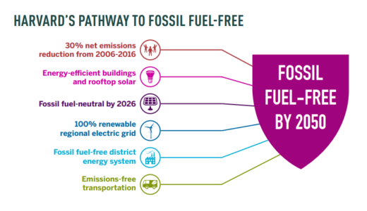 【公開予定】ハーバード大学・カーボンニュートラル計画　サステナブル責任者（ハーバード副学長）インタビュー